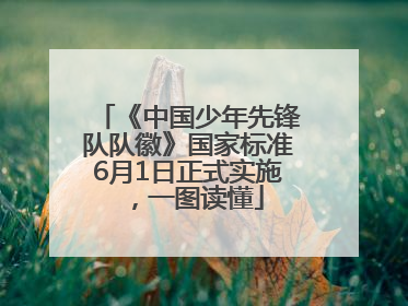 《中国少年先锋队队徽》国家标准6月1日正式实施，一图读懂