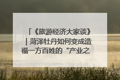 《旅游经济大家谈》｜菏泽牡丹如何变成造福一方百姓的“产业之花”“富民之花”？
