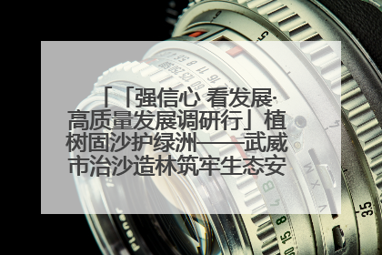 「强信心 看发展·高质量发展调研行」植树固沙护绿洲——武威市治沙造林筑牢生态安全屏障见闻