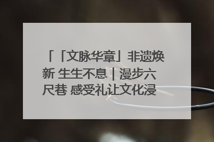 「文脉华章」非遗焕新 生生不息｜漫步六尺巷 感受礼让文化浸润的“巷”往生活