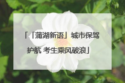 「蒲湖新语」城市保驾护航 考生乘风破浪