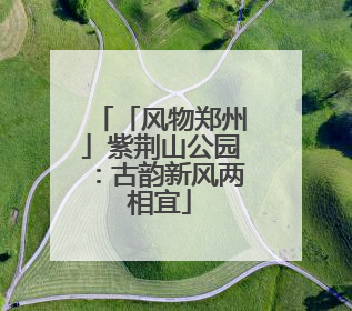 「风物郑州」紫荆山公园：古韵新风两相宜
