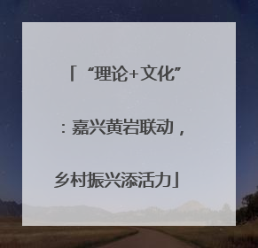 “理论+文化”：嘉兴黄岩联动，乡村振兴添活力
