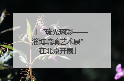 “琉光璃彩——淄博琉璃艺术展”在北京开展
