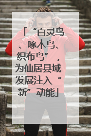 “百灵鸟、啄木鸟、织布鸟”，为仙居县域发展注入“新”动能