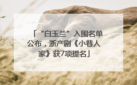 “白玉兰”入围名单公布，浙产剧《小巷人家》获7项提名