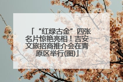 “红绿古金”四张名片惊艳亮相！吉安文旅招商推介会在青原区举行(图)