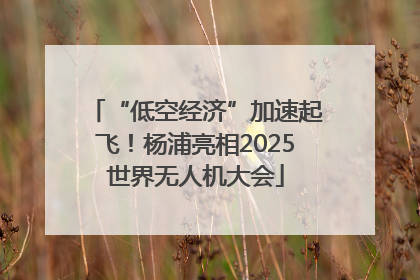 “低空经济”加速起飞！杨浦亮相2025世界无人机大会