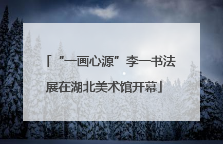 “一画心源”李一书法展在湖北美术馆开幕