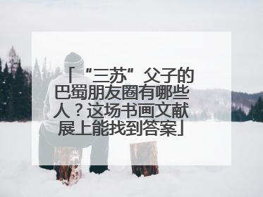 “三苏”父子的巴蜀朋友圈有哪些人？这场书画文献展上能找到答案
