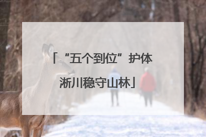 “五个到位”护体 淅川稳守山林