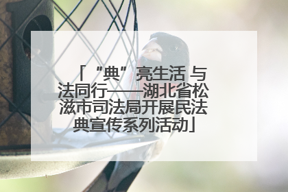 “典”亮生活 与法同行——湖北省松滋市司法局开展民法典宣传系列活动