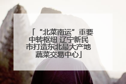 “北菜南运”重要中转枢纽 辽宁新民市打造东北最大产地蔬菜交易中心