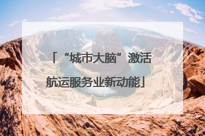 “城市大脑”激活航运服务业新动能