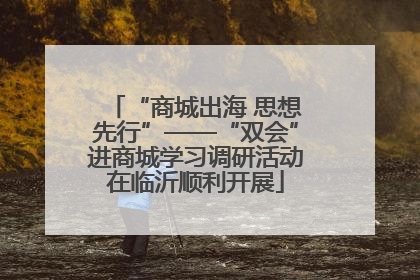 “商城出海 思想先行”——“双会”进商城学习调研活动在临沂顺利开展