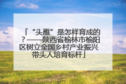 “头雁”是怎样育成的？——陕西省榆林市榆阳区树立全国乡村产业振兴带头人培育标杆