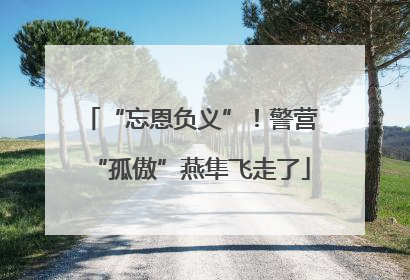 “忘恩负义”！警营“孤傲”燕隼飞走了