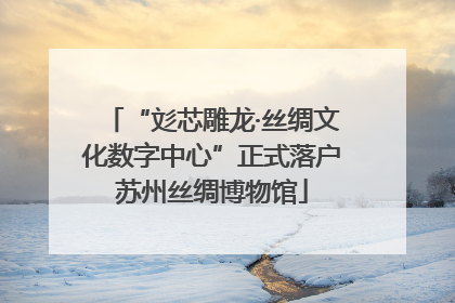 “彣芯雕龙·丝绸文化数字中心”正式落户苏州丝绸博物馆