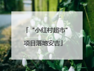 “小红村超市”项目落地安吉