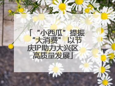 “小西瓜”提振“大消费” 以节庆IP助力大兴区高质量发展
