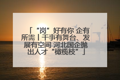 “岗”好有你 企有所需丨干事有舞台、发展有空间 河北国企抛出人才“橄榄枝”
