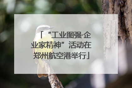 “工业图强·企业家精神”活动在郑州航空港举行