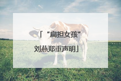“扁担女孩”刘燕郑重声明