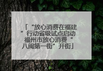 “放心消费在福建”行动省级试点启动 福州市放心消费“八闽第一街”开街