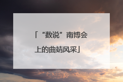 “数说”南博会上的曲靖风采