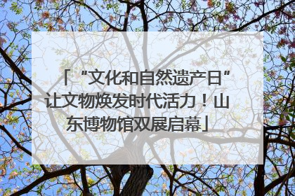 “文化和自然遗产日”让文物焕发时代活力！山东博物馆双展启幕