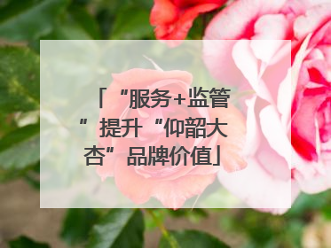 “服务+监管”提升“仰韶大杏”品牌价值