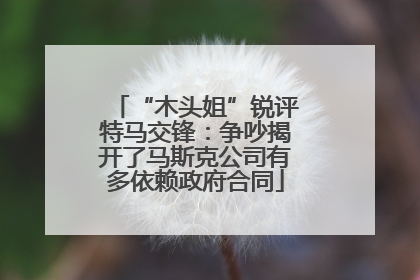 “木头姐”锐评特马交锋：争吵揭开了马斯克公司有多依赖政府合同