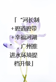 “河长制+碧道碧带+幸福河湖”，广州推进水环境提档升级