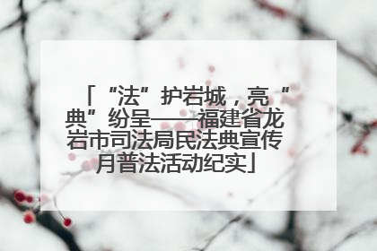 “法”护岩城，亮“典”纷呈——福建省龙岩市司法局民法典宣传月普法活动纪实