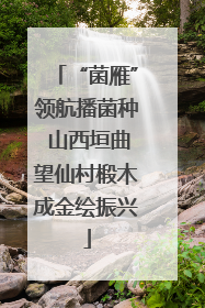 “菌雁”领航播菌种 山西垣曲望仙村椴木成金绘振兴