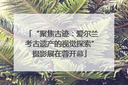 “聚焦古迹：爱尔兰考古遗产的视觉探索”摄影展在蓉开幕