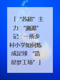 “苏超”主力 “溯源” 记：一所乡村小学如何炼成足球 “造星梦工场”