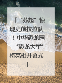 “苏超”惊现史前拉拉队！中华恐龙园“恐龙大军”将亮相开幕式