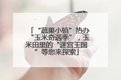 “蔬果小镇”热办“玉米奇遇季”，玉米田里的“迷宫王国”等您来探索