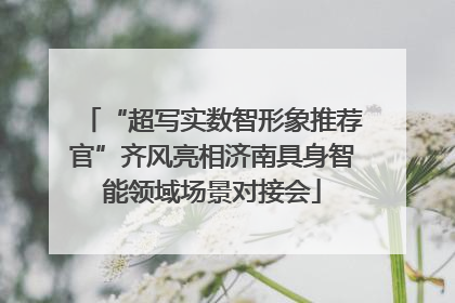 “超写实数智形象推荐官”齐风亮相济南具身智能领域场景对接会