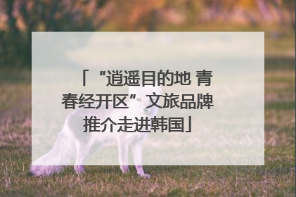 “逍遥目的地 青春经开区”文旅品牌推介走进韩国