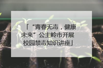 “青春无毒，健康未来”公主岭市开展校园禁毒知识讲座