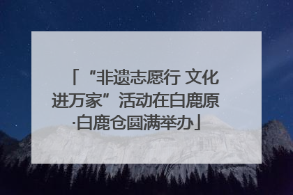 “非遗志愿行 文化进万家”活动在白鹿原·白鹿仓圆满举办