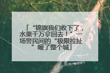 “锦旗我们收下了，水果千万拿回去！”一场警民间的“极限拉扯”暖了整个城