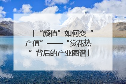 “颜值”如何变“产值”——“赏花热”背后的产业图谱
