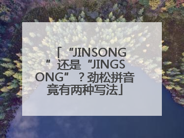 “JINSONG”还是“JINGSONG”？劲松拼音竟有两种写法