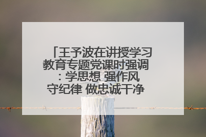 王予波在讲授学习教育专题党课时强调：学思想 强作风 守纪律 做忠诚干净担当的共产党员