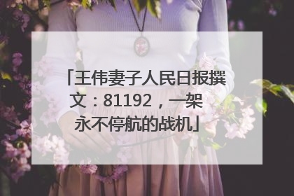 王伟妻子人民日报撰文：81192，一架永不停航的战机