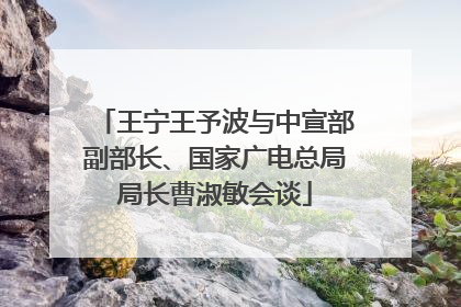王宁王予波与中宣部副部长、国家广电总局局长曹淑敏会谈