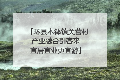 环县木钵镇关营村 产业融合引客来 宜居宜业更宜游